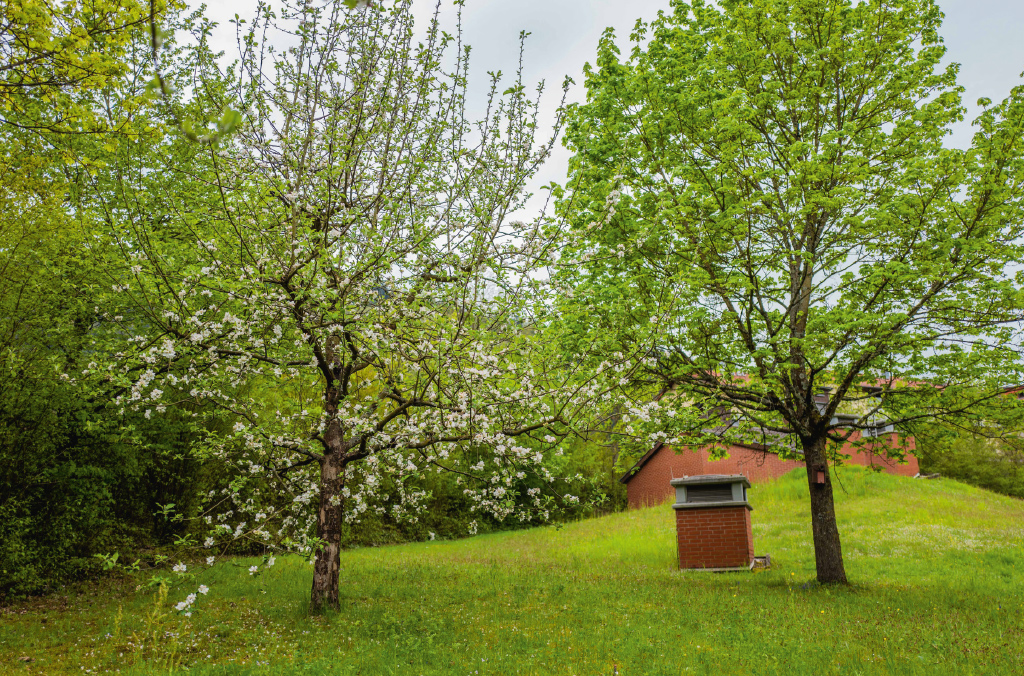 pi_image_nachhaltigkeit_06