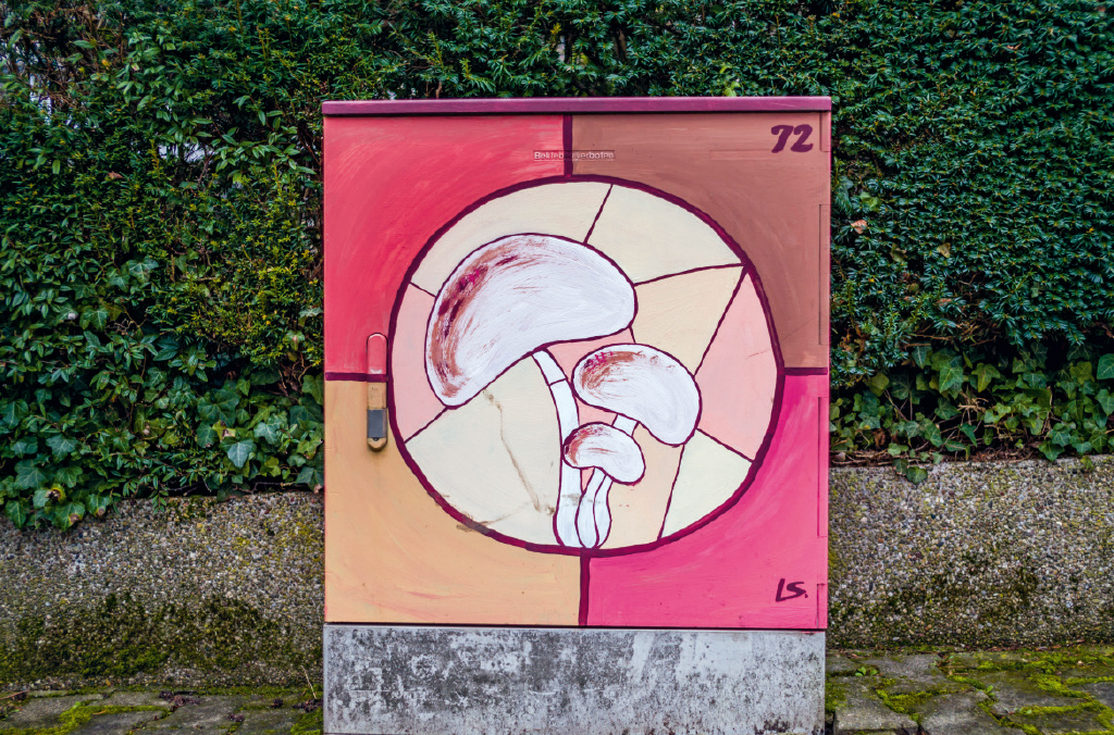 pi_image_nachhaltigkeit_11