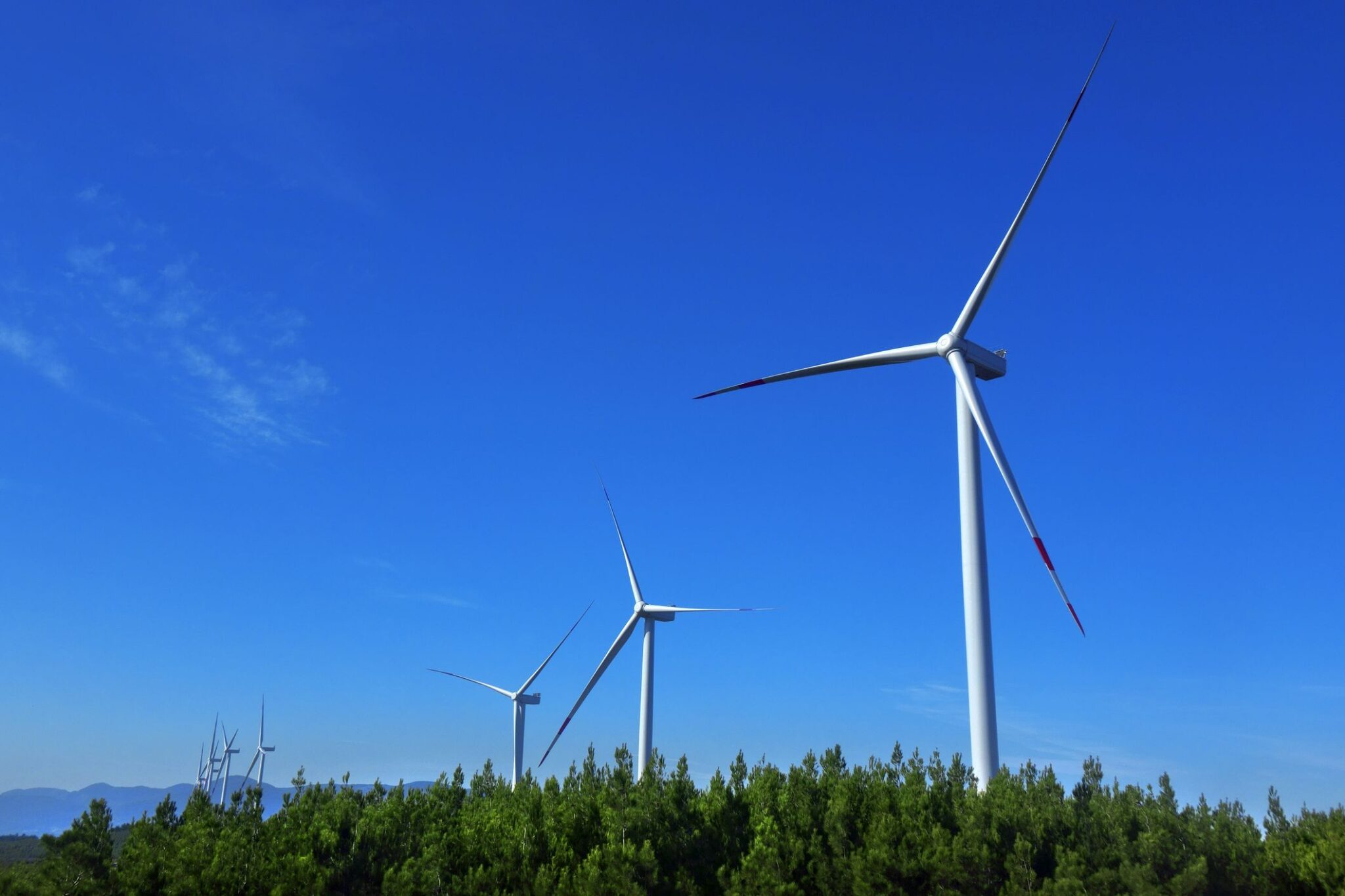Drei Windkraftanlagen stehen hinter einem Wald unter klarem blauem Himmel