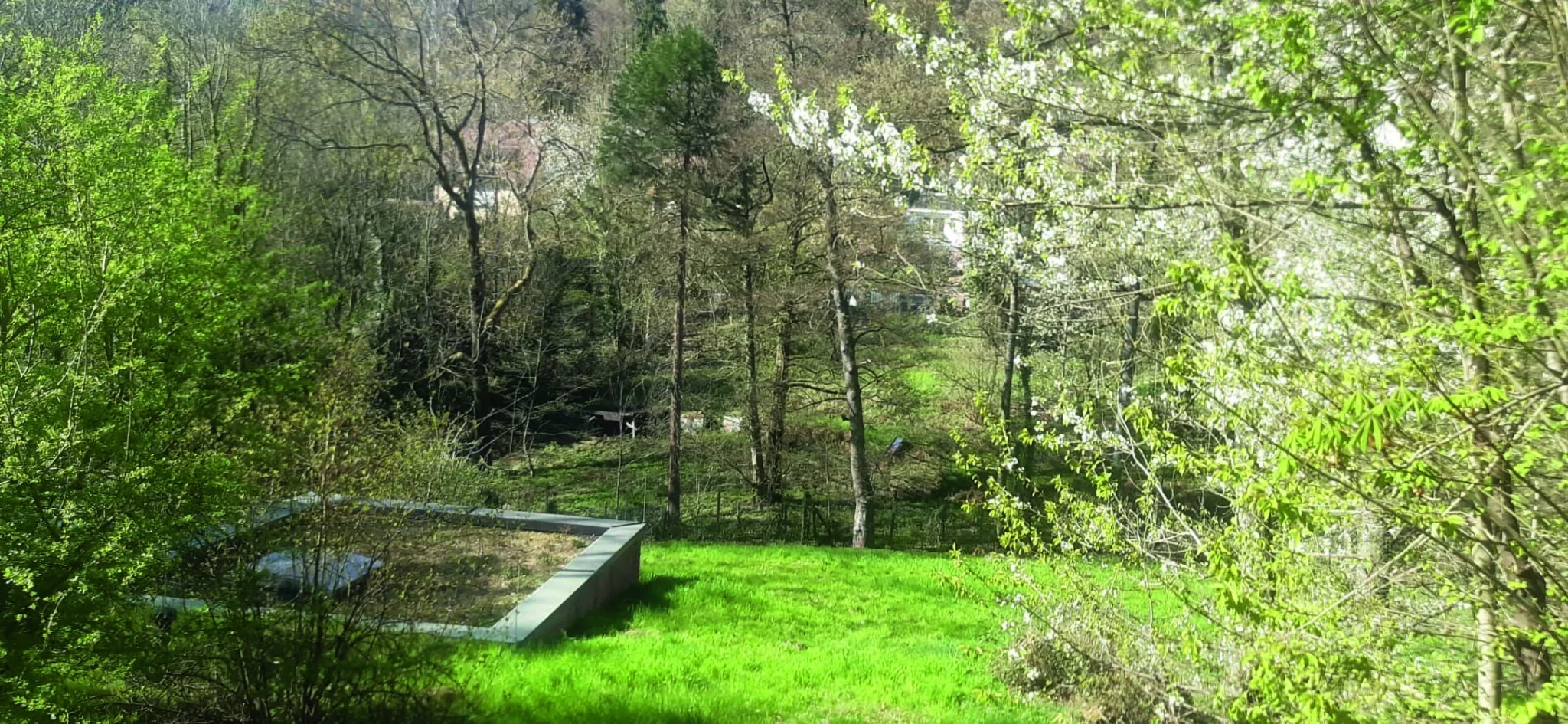 Grüner Garten mit blühenden Bäumen und einem kleinen rechteckigen Teich im Vordergrund