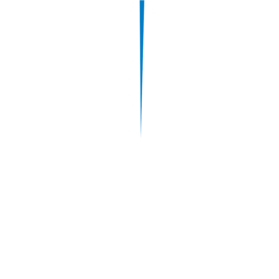 Kreisdiagramm mit einem sehr kleinen blauen Segment oben, der Rest ist weiß
