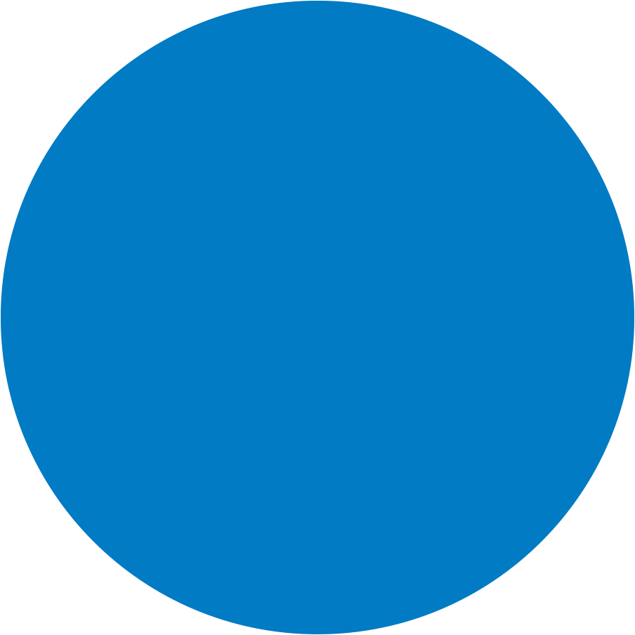 Kreisdiagramm mit einem einzigen blauen Segment, das 100 Prozent darstellt