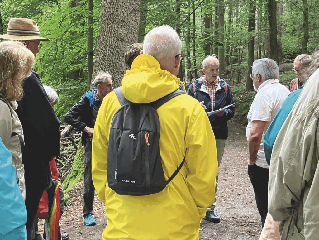 Gruppe von Menschen steht auf Waldweg, eine Person trägt gelbe Jacke und schwarzen Rucksack